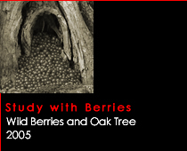 Study with Berries.
